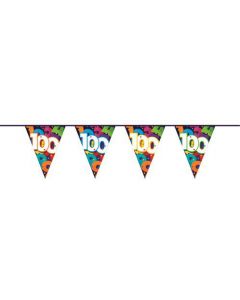 Vlaggenlijn PE ’’100’’ (10m)
